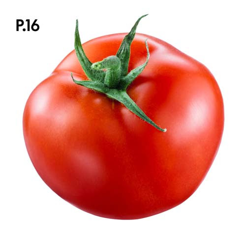 Přírodopis_motiv16.jpg Přírodopis_motiv16.jpg